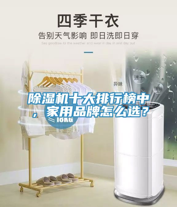 除濕機(jī)十大排行榜中，家用品牌怎么選？