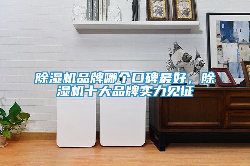除濕機品牌哪個口碑最好，除濕機十大品牌實力見證