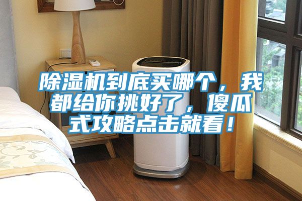 除濕機(jī)到底買哪個(gè)，我都給你挑好了，傻瓜式攻略點(diǎn)擊就看！