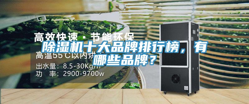 除濕機十大品牌排行榜，有哪些品牌？