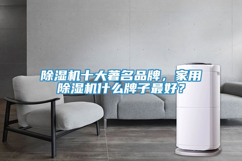 除濕機(jī)十大著名品牌，家用除濕機(jī)什么牌子最好？