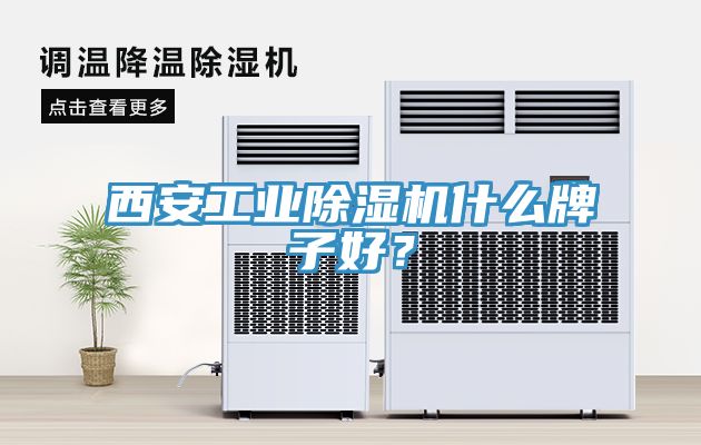 西安工業(yè)除濕機什么牌子好？