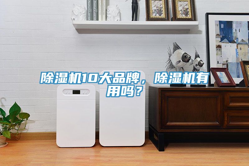 除濕機(jī)10大品牌，除濕機(jī)有用嗎？
