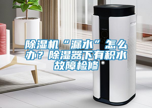 除濕機(jī)“漏水”怎么辦？除濕器下有積水故障檢修