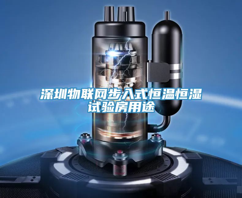 深圳物聯(lián)網步入式恒溫恒濕試驗房用途