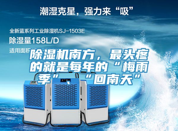 除濕機南方，最頭疼的就是每年的“梅雨季”、“回南天”