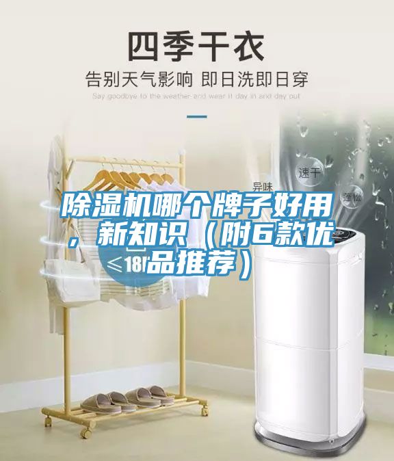 除濕機哪個牌子好用，新知識（附6款優(yōu)品推薦）