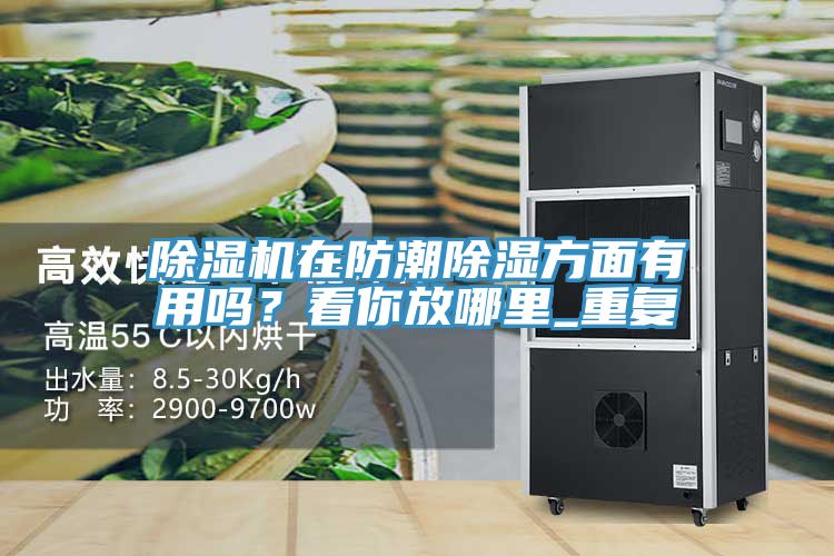 除濕機(jī)在防潮除濕方面有用嗎？看你放哪里_重復(fù)