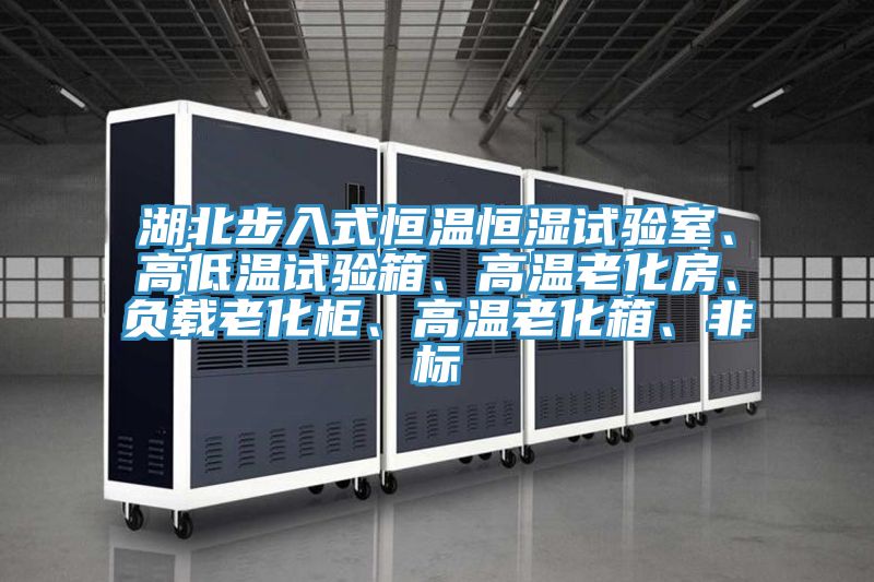 湖北步入式恒溫恒濕試驗(yàn)室、高低溫試驗(yàn)箱、高溫老化房、負(fù)載老化柜、高溫老化箱、非標(biāo)