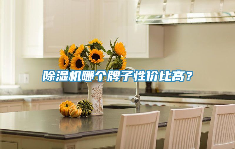 除濕機(jī)哪個(gè)牌子性價(jià)比高？