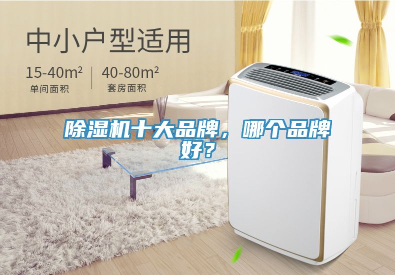 除濕機(jī)十大品牌，哪個(gè)品牌好？