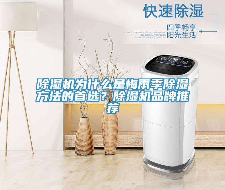 除濕機為什么是梅雨季除濕方法的首選？除濕機品牌推薦