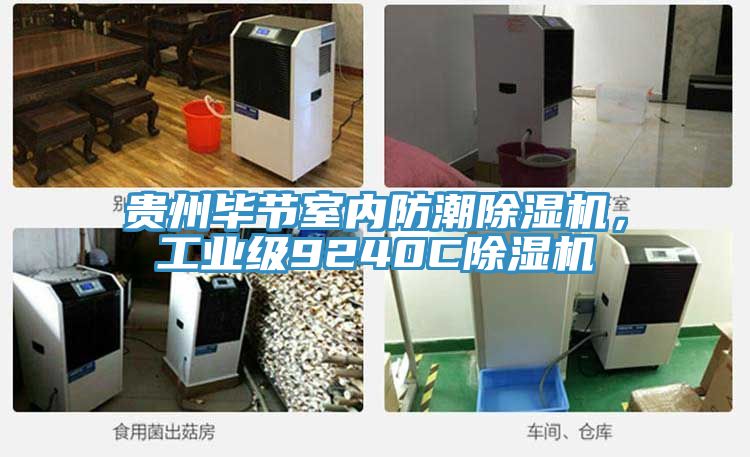貴州畢節(jié)室內(nèi)防潮除濕機，工業(yè)級9240C除濕機
