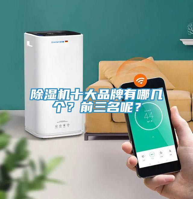 除濕機(jī)十大品牌有哪幾個(gè)？前三名呢？