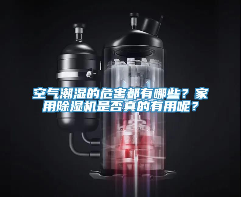 空氣潮濕的危害都有哪些？家用除濕機是否真的有用呢？