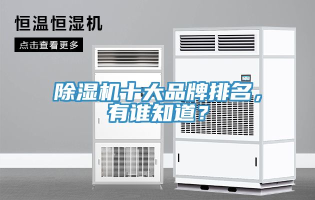 除濕機十大品牌排名，有誰知道？