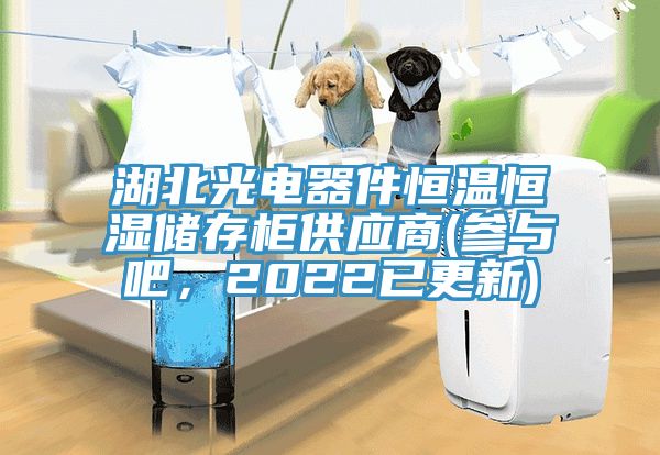 湖北光電器件恒溫恒濕儲存柜供應商(參與吧，2022已更新)