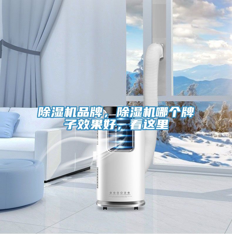 除濕機(jī)品牌，除濕機(jī)哪個(gè)牌子效果好，看這里