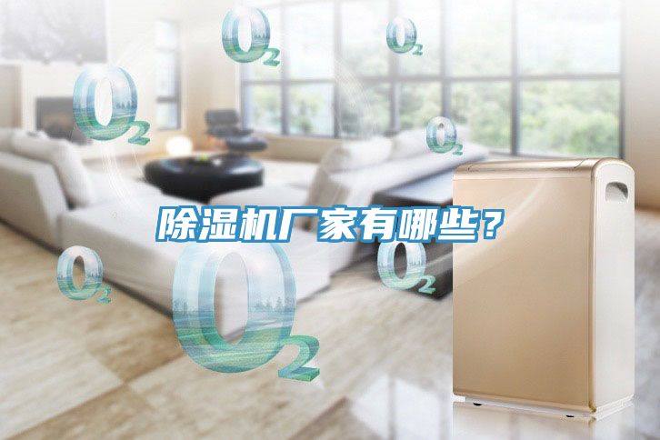 除濕機(jī)廠家有哪些？