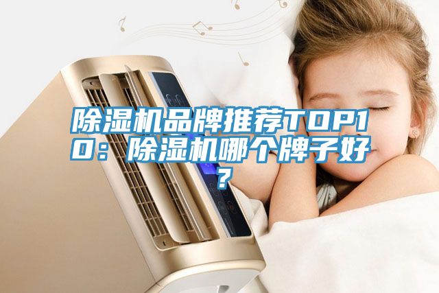 除濕機(jī)品牌推薦TOP10：除濕機(jī)哪個牌子好？
