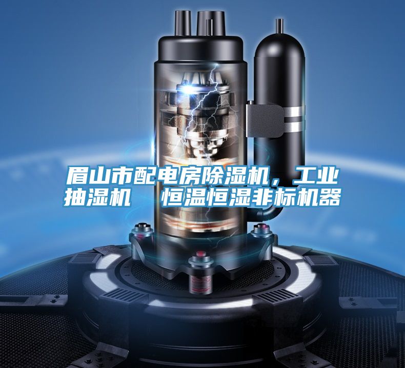 眉山市配電房除濕機(jī)，工業(yè)抽濕機(jī)  恒溫恒濕非標(biāo)機(jī)器