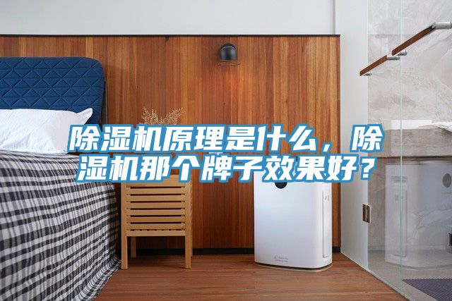 除濕機原理是什么，除濕機那個牌子效果好？