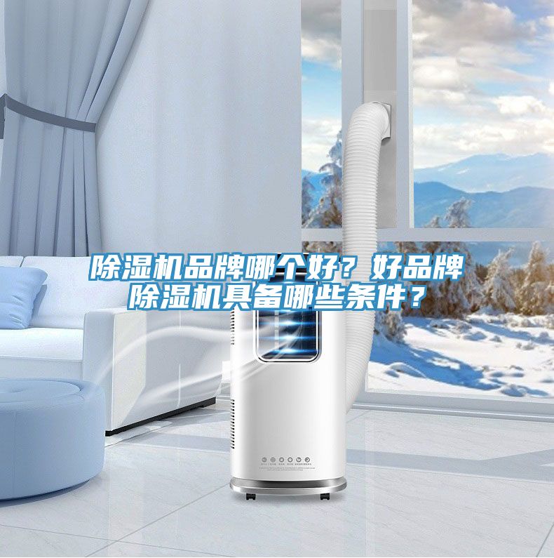 除濕機品牌哪個好？好品牌除濕機具備哪些條件？