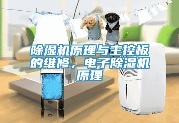 除濕機(jī)原理與主控板的維修，電子除濕機(jī)原理