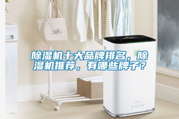 除濕機十大品牌排名，除濕機推薦，有哪些牌子？