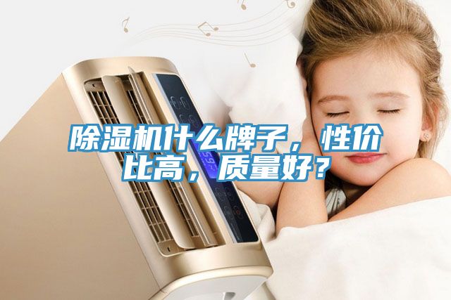 除濕機(jī)什么牌子，性價(jià)比高，質(zhì)量好？