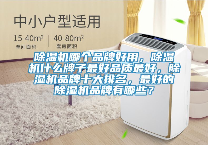 除濕機(jī)哪個(gè)品牌好用，除濕機(jī)什么牌子最好品質(zhì)最好，除濕機(jī)品牌十大排名，最好的除濕機(jī)品牌有哪些？