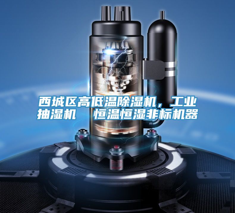 西城區(qū)高低溫除濕機，工業(yè)抽濕機  恒溫恒濕非標機器