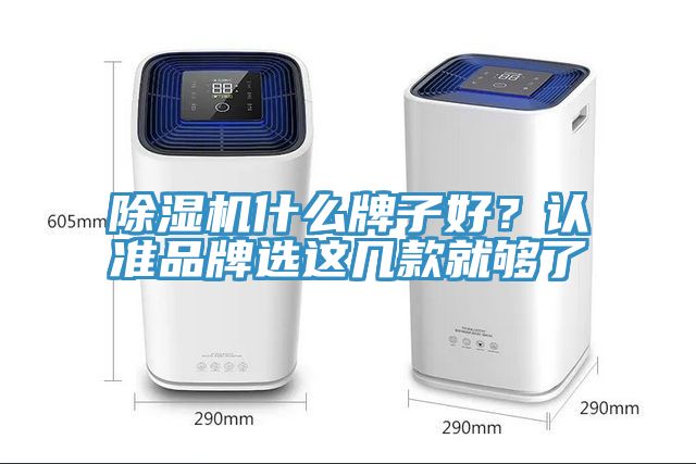 除濕機(jī)什么牌子好？認(rèn)準(zhǔn)品牌選這幾款就夠了