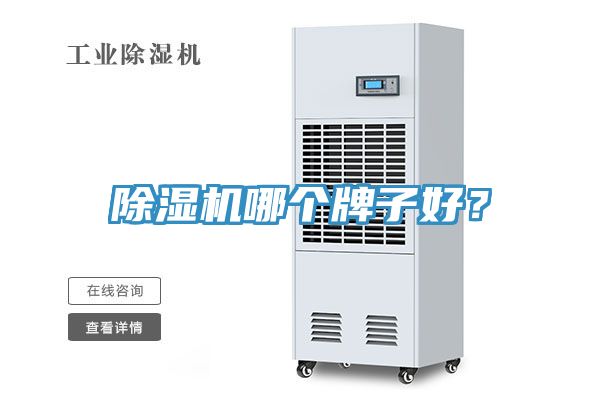除濕機哪個牌子好？