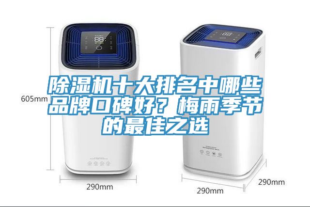 除濕機(jī)十大排名中哪些品牌口碑好？梅雨季節(jié)的最佳之選