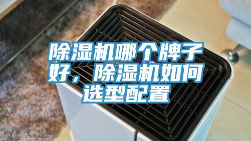 除濕機哪個牌子好，除濕機如何選型配置