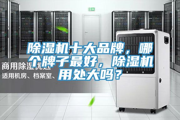 除濕機(jī)十大品牌，哪個(gè)牌子最好，除濕機(jī)用處大嗎？