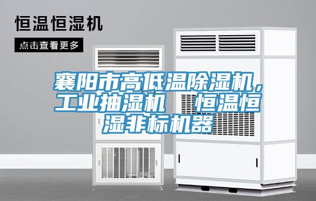 襄陽市高低溫除濕機，工業(yè)抽濕機  恒溫恒濕非標機器