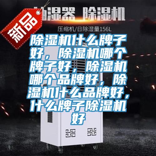 除濕機(jī)什么牌子好，除濕機(jī)哪個牌子好，除濕機(jī)哪個品牌好，除濕機(jī)什么品牌好，什么牌子除濕機(jī)好