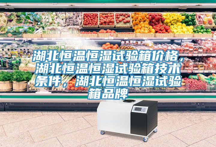 湖北恒溫恒濕試驗箱價格，湖北恒溫恒濕試驗箱技術條件，湖北恒溫恒濕試驗箱品牌