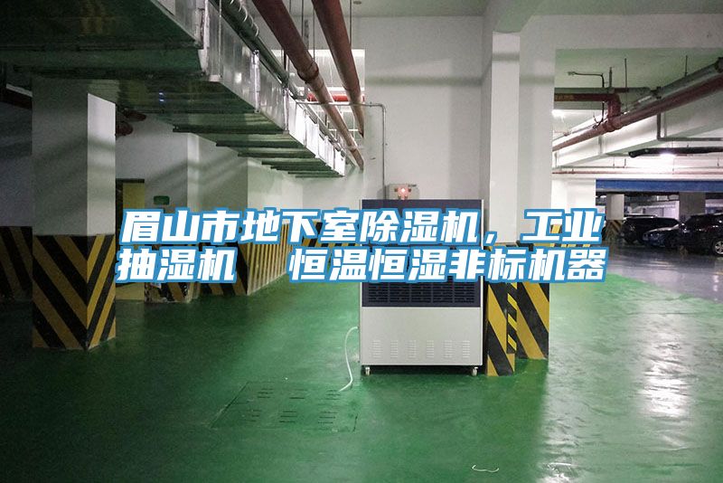 眉山市地下室除濕機(jī)，工業(yè)抽濕機(jī)  恒溫恒濕非標(biāo)機(jī)器
