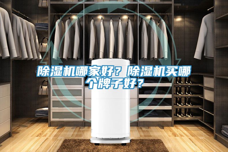 除濕機哪家好？除濕機買哪個牌子好？