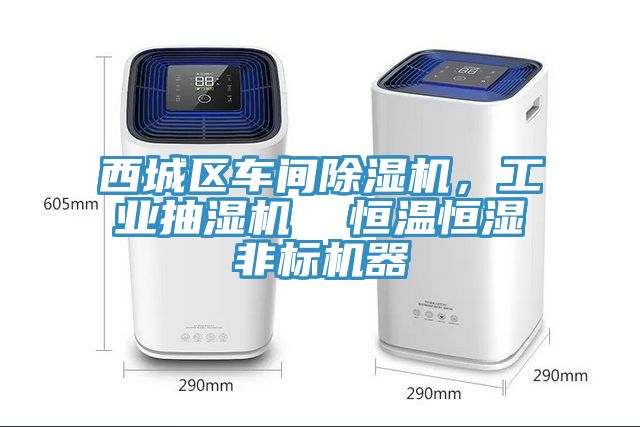西城區(qū)車間除濕機，工業(yè)抽濕機  恒溫恒濕非標機器