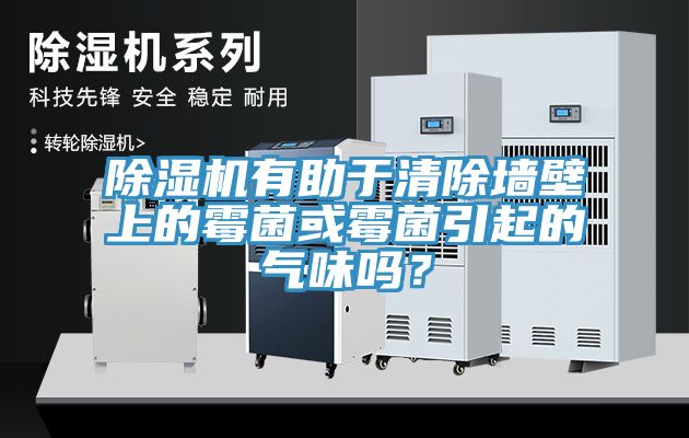 除濕機(jī)有助于清除墻壁上的霉菌或霉菌引起的氣味嗎？