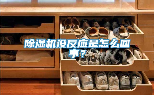 除濕機沒反應是怎么回事？