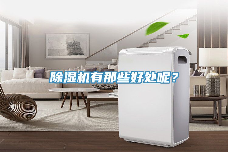 除濕機(jī)有那些好處呢？