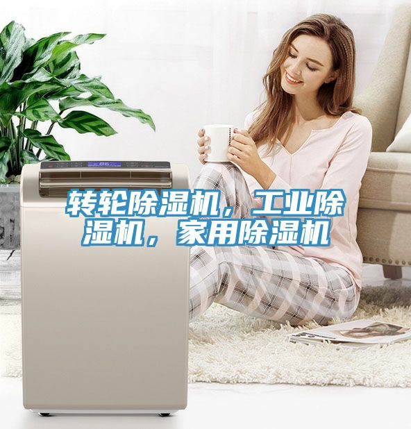 轉(zhuǎn)輪除濕機，工業(yè)除濕機，家用除濕機