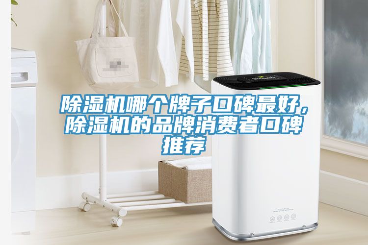 除濕機(jī)哪個(gè)牌子口碑最好，除濕機(jī)的品牌消費(fèi)者口碑推薦