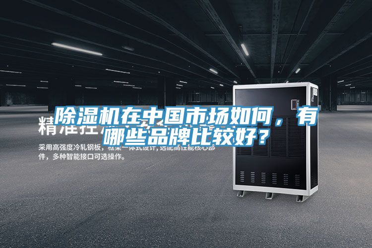 除濕機(jī)在中國市場如何，有哪些品牌比較好？