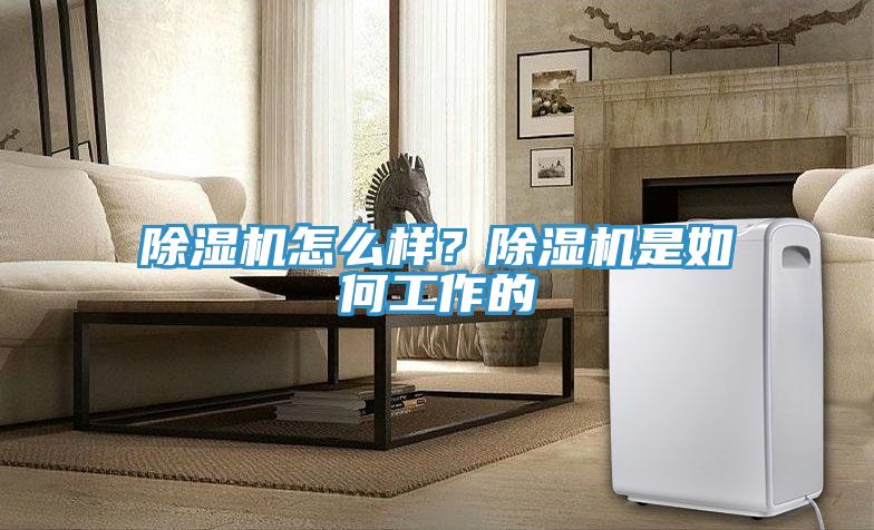 除濕機(jī)怎么樣？除濕機(jī)是如何工作的
